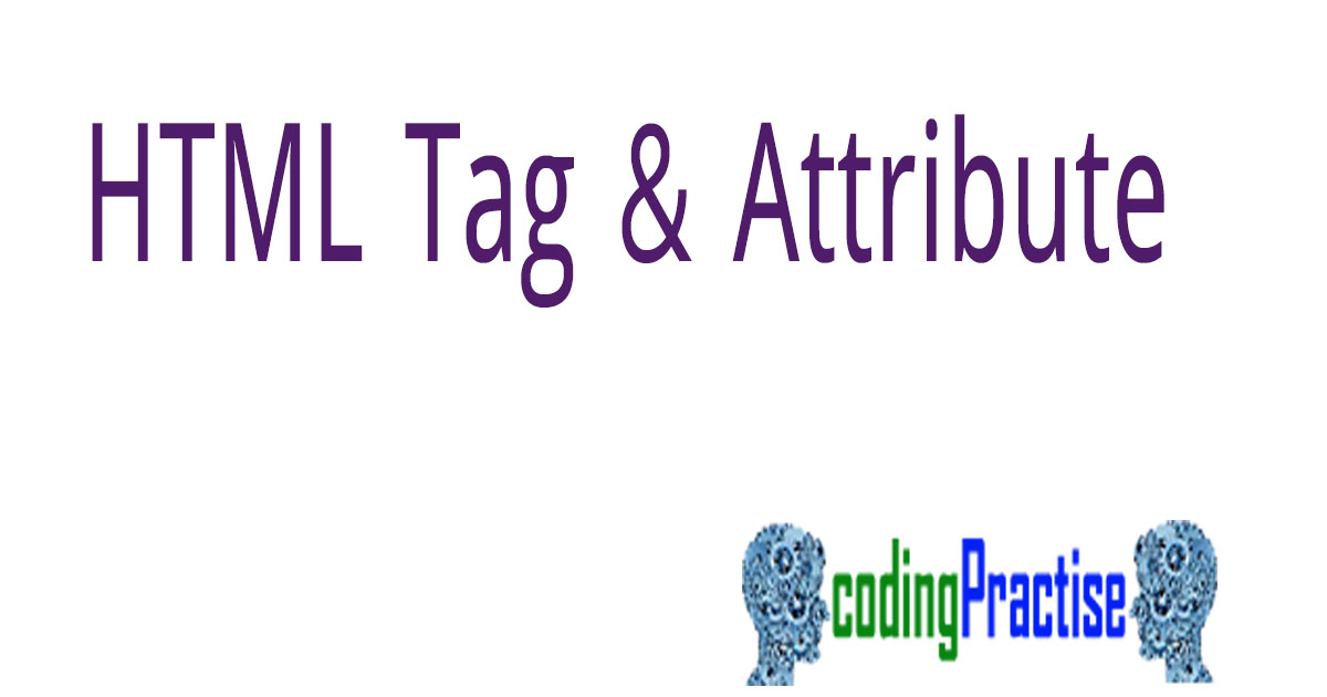 HTML Tag নিয়ে বিস্তারিত আলোচনা Coding Practise